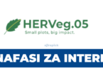 HERVeg Internship Opportunities Tanzania