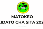 Matokeo ya kidato cha sita 2024 NECTA: Form Six Results 2024 Release Check Out