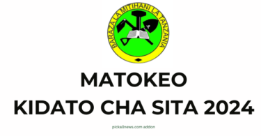 Matokeo ya kidato cha sita 2024 NECTA: Form Six Results 2024 Release Check Out