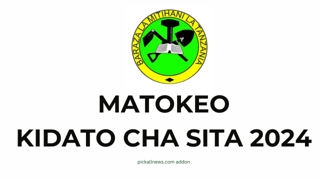 Matokeo ya kidato cha sita 2024 NECTA: Form Six Results 2024 Release Check Out