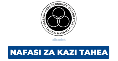 TAHEA Tanzania Hiring Monitoring and Evaluation Officer