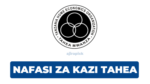 TAHEA Tanzania Hiring Monitoring and Evaluation Officer